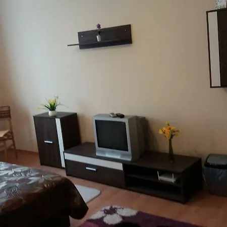 Violetta Apartman デブレツェン