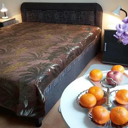Violetta Apartman アパート